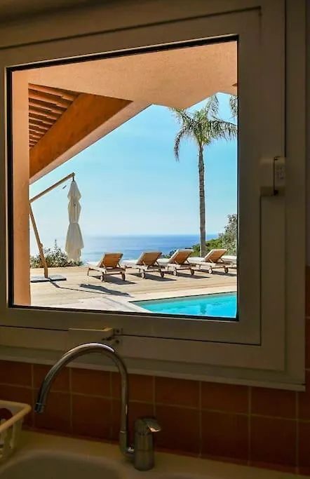 Villa Palm Springs Superb Sea View, Terrasse And Swimming Pool Carqueiranne