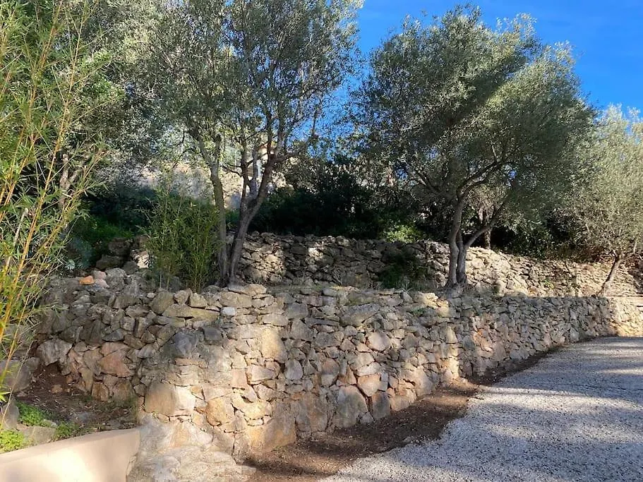 Villa Palm Springs Superb Sea View, Terrasse And Swimming Pool Carqueiranne