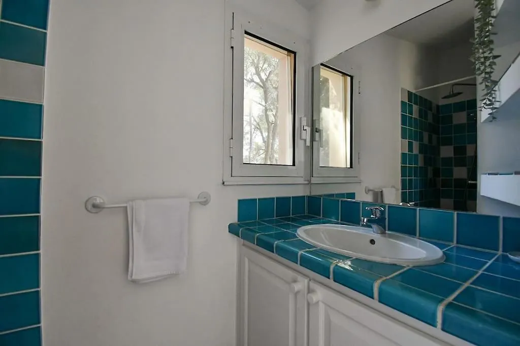 Villa Palm Springs Superb Sea View, Terrasse And Swimming Pool Carqueiranne