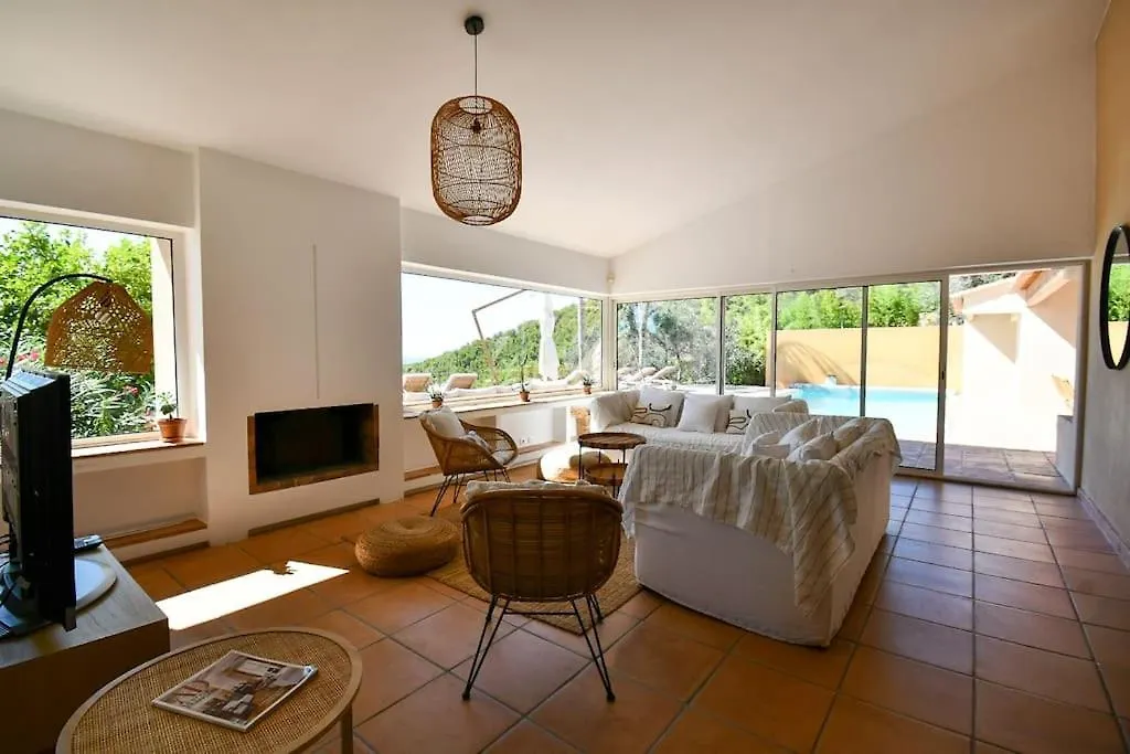 Villa Palm Springs Superb Sea View, Terrasse And Swimming Pool Carqueiranne