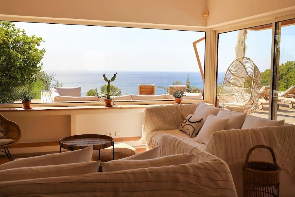 Villa Palm Springs Superb Sea View, Terrasse And Swimming Pool Carqueiranne