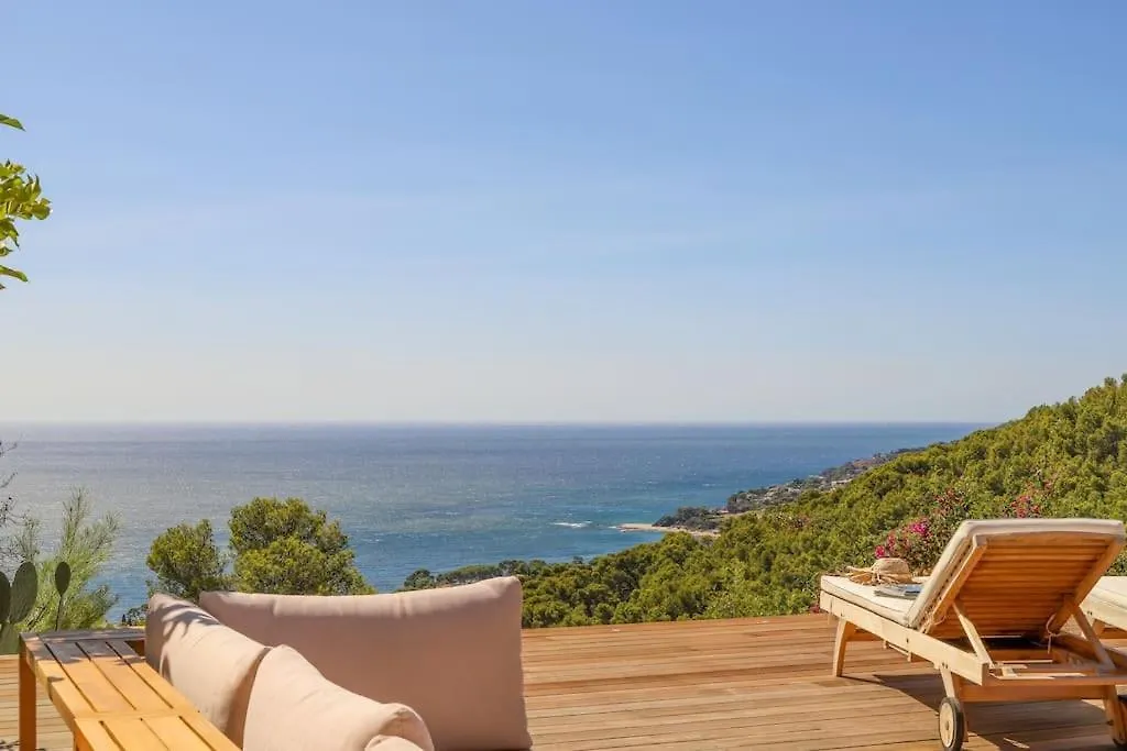 Villa Palm Springs Superb Sea View, Terrasse And Swimming Pool Carqueiranne